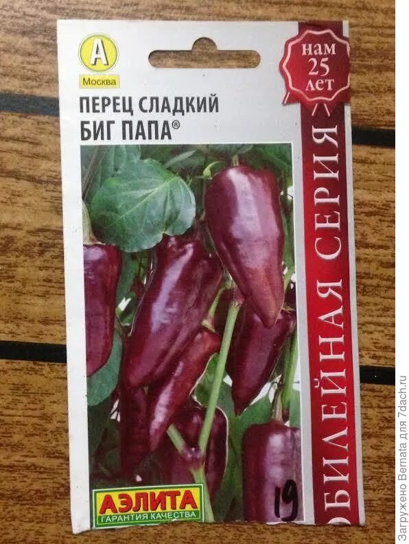 Биг папа перец Фитостудия-63.ру