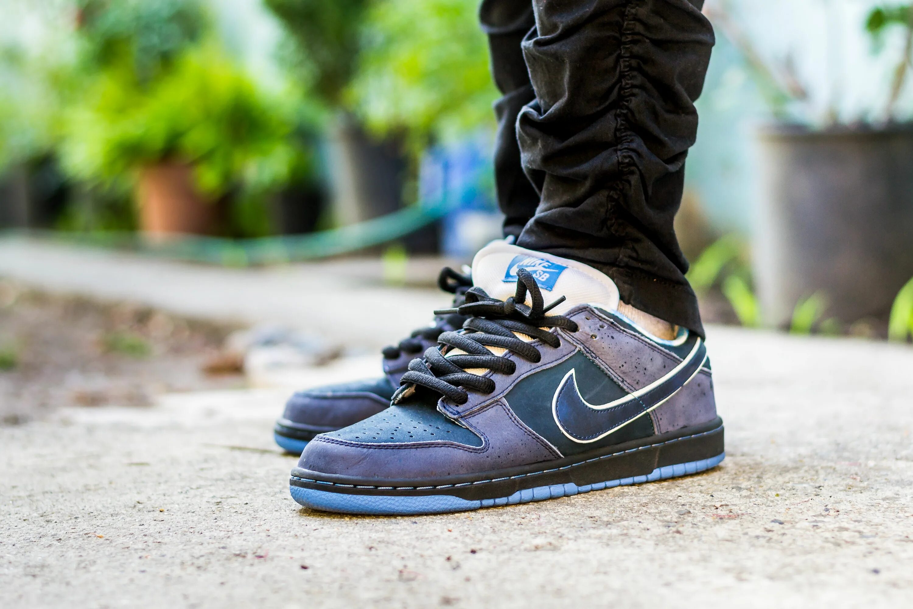 Найк sb dunk. Nike SB Dunk Low Blue Lobster. Nike SB Dunk Low. Nike SB Dunk. Nike SB Dunk синие.