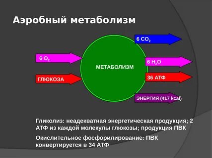 Аэробный процесс это