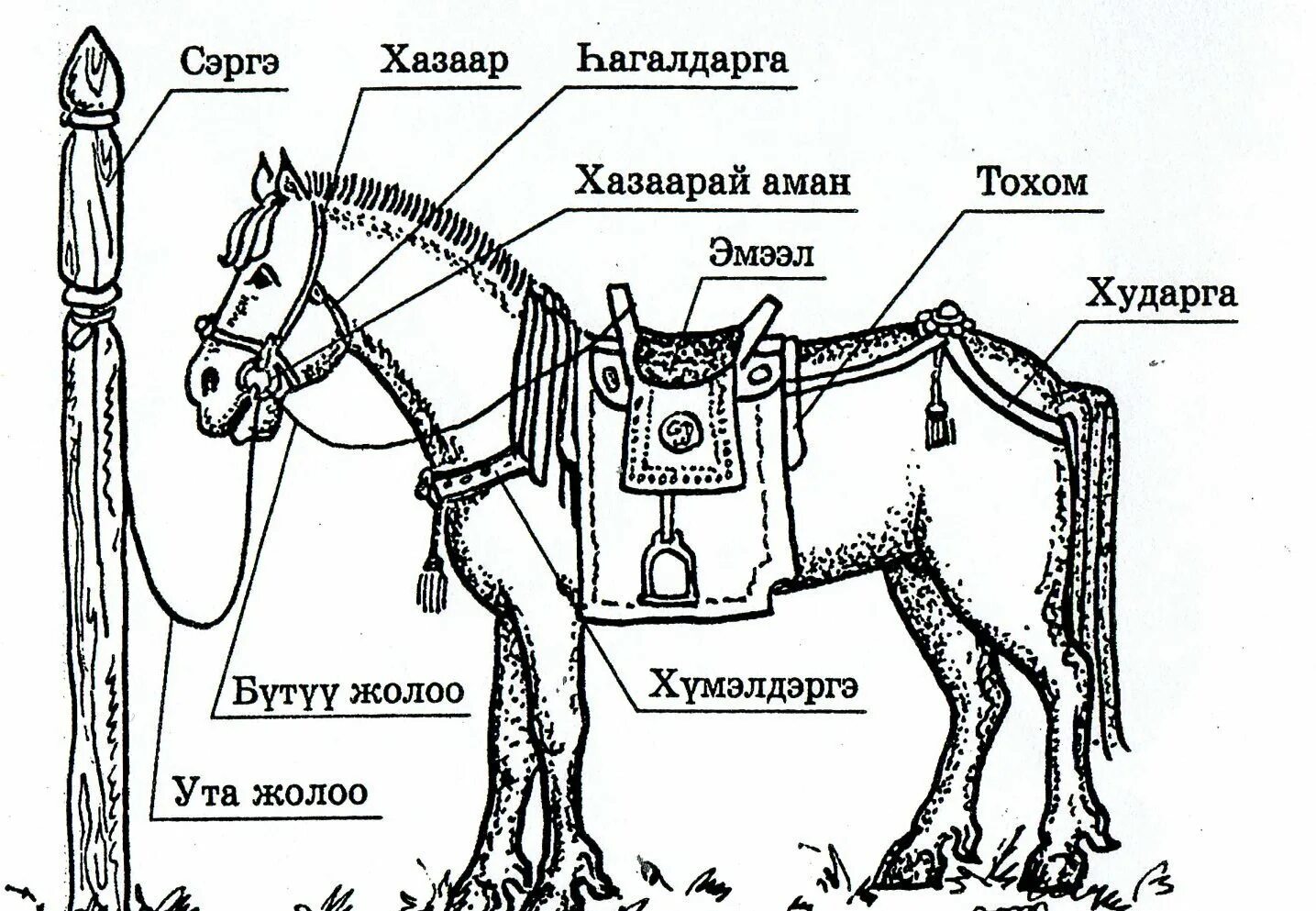 Конь части слова. Седло для лошади схема. Части амуниции для лошади. Обмундирование для лошади название. Строение седла для лошади.