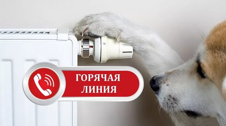 Горячие линия водоснабжения. Номер горячей линии отопление. Горячая линия отопление. Билайн горячая линия. Номер горячей линии отопление.