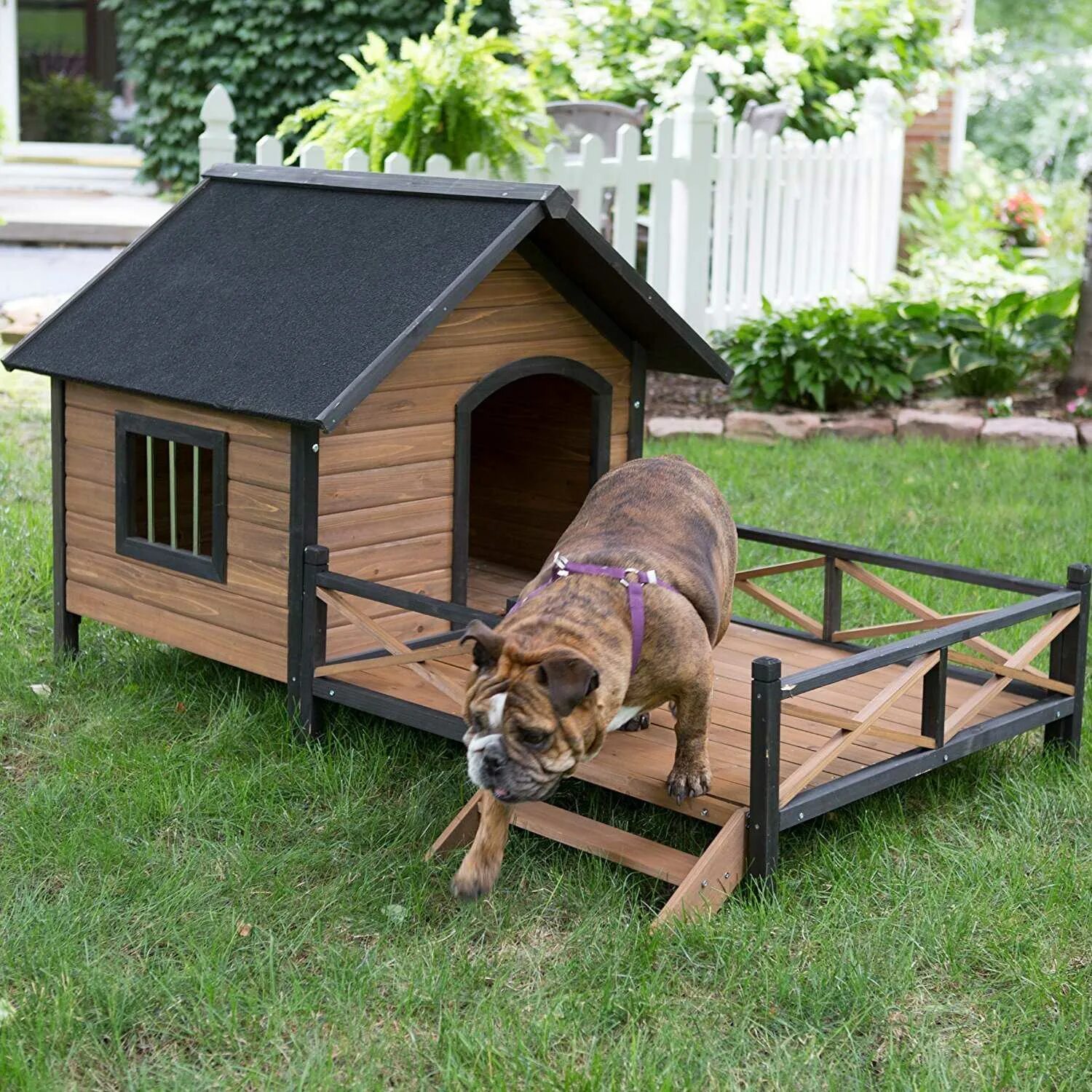 Собака дома отзывы. Собака с конурой. Дом для собаки. Будка для собаки. Дизайнерские будки для собак.