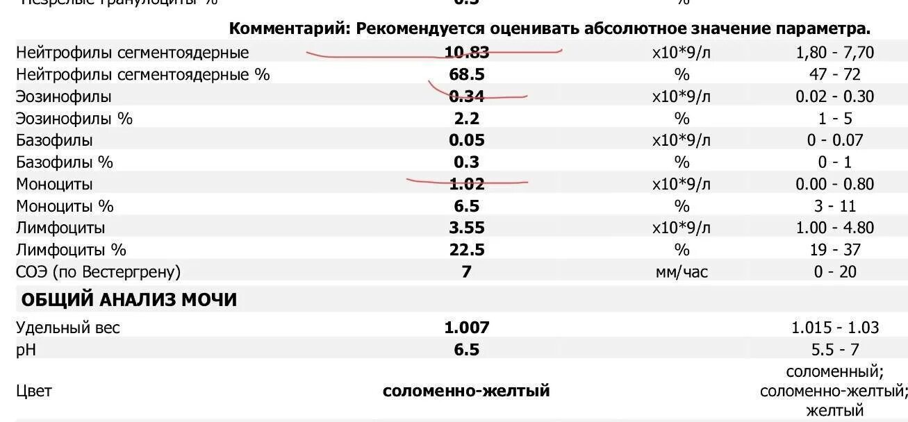 Пониженные нейтрофилы сегментоядерные в крови у женщин. Сегментоядерные нейтрофилы норма в абсолютных. Сегментоядерные нейтрофилы в анализах норма. Нейтрофилы сегментоядерные 46.00. Нейтрофилы показатели нормы у взрослых.