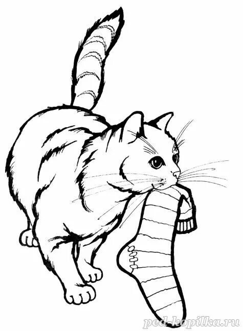 Картинки котиков которые можно распечатать cat coloring page Cat coloring page, Kittens coloring, Designs coloring books