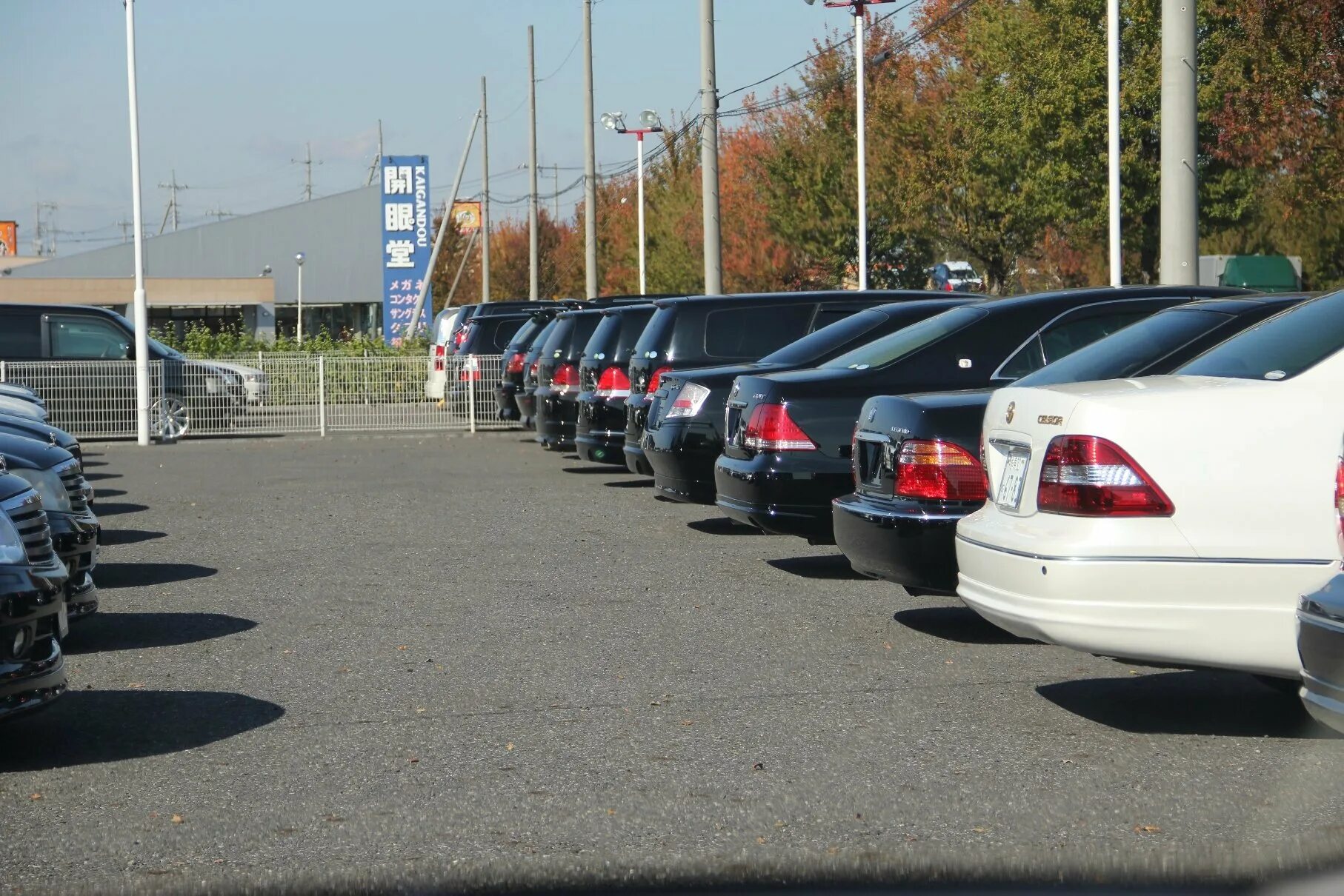 Parking lot 2. Стоянка машин. Машина на парковке. Охраняемая стоянка авто. Парковочная площадка.