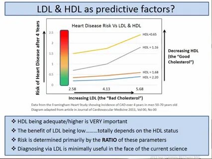 What Should Be The Ratio Of Ldl To Hdl / Cholesterollevels What Should.