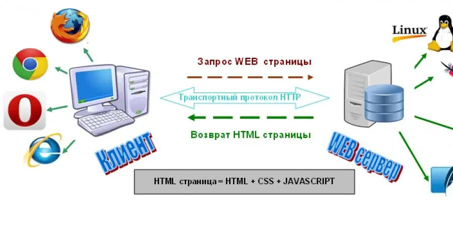 Web клиент. Схема работы веб сервера. Клиент веб сервер. Работа веб-сервера. Динамический web сервера.