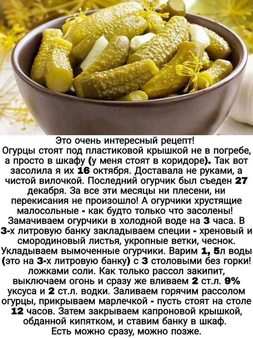 Рецепт огурцов соленые простые. С днем соленого огурца. с днём хрустящего огурчика. хрустящие огурчики. с днем хрустящих огурцов.
