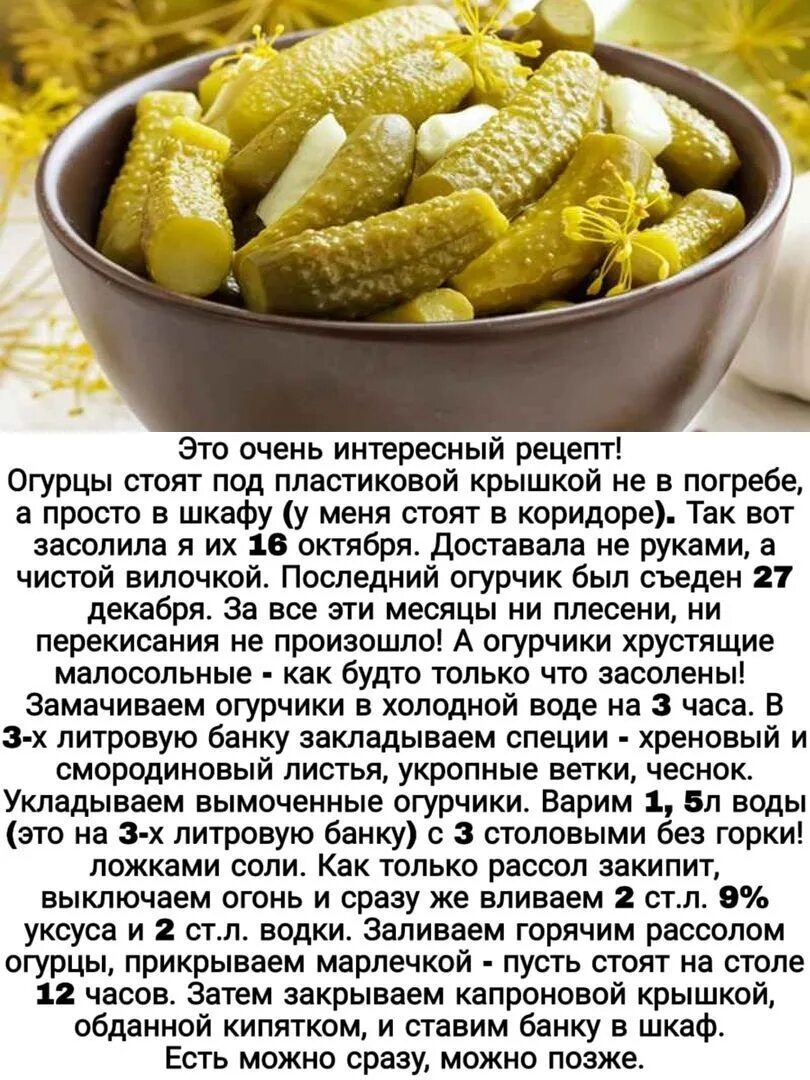 Очень вкусные соленые огурцы рецепты. Удивительные рецепты. Необычный рецепт огурцов. Рецепт соленых огурцов. Рецепт соления огурцов.