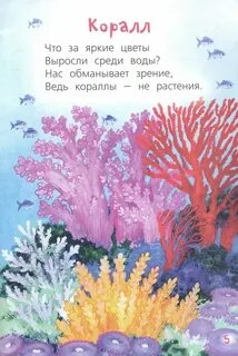Коралловый стих