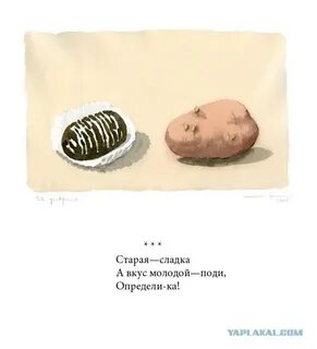 Молодой вкус