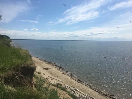 Бердск обское море