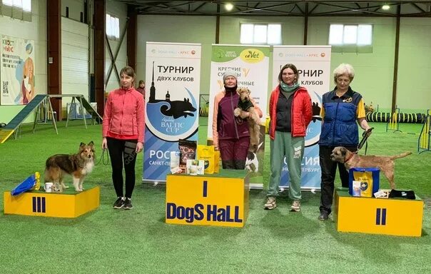 Dogs hall. Dogs hall