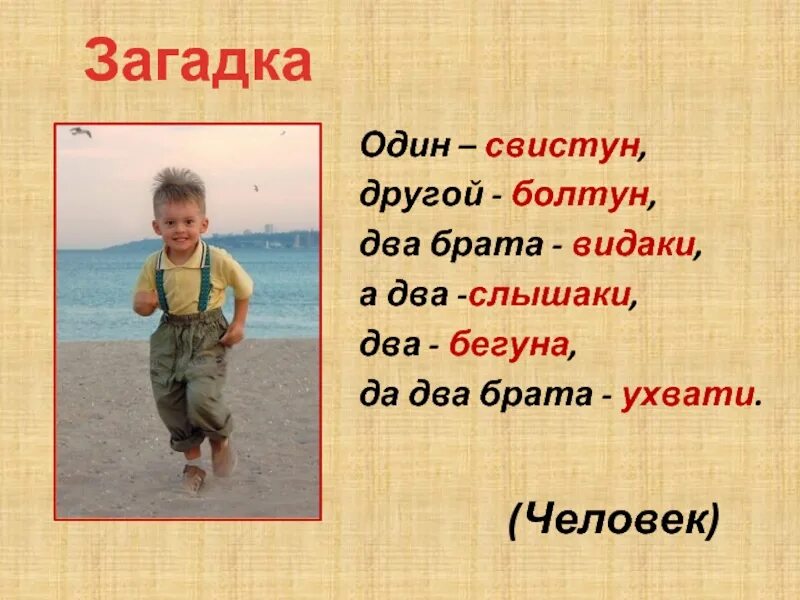 Загадка два два четыре. Загадки про брата. тема два брата. загадка про двух братьев. загадка про болтуна.