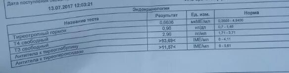 Расшифровка анализов на щитовидную железу у женщин. Антитела к щитовидной железе норма. Антитела к гормонам щитовидной железы. Антитела к щитовидной железе норма у женщин. Антитела гормоны щитовидке норма.