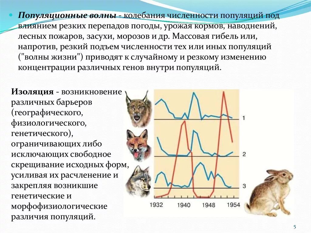 Популяционные волны, "волны жизни"(с. с. Четвериков) -. Колебания численности популяции. Популяционные волны жизни. Периодические и непериодические колебания численности популяции. Причины изменения численности популяции в экосистеме