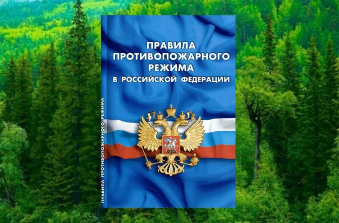 О противопожарной безопасности постановление правительства. Правила противопожарноорежима. Правилах противопожарного режима в РФ. Правила противопожарного режима в Российской Федерации. Правила противопожарногрежима в РФ.