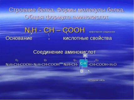 Кислые и основные белки