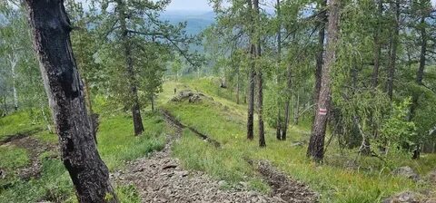 Большой ладожской тропы