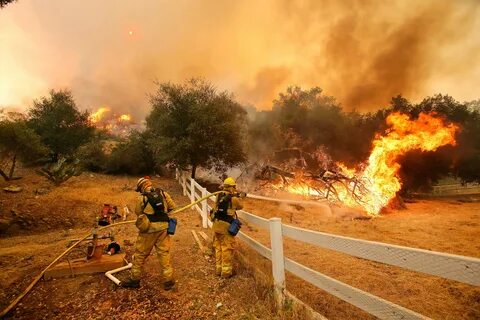 Wild fire