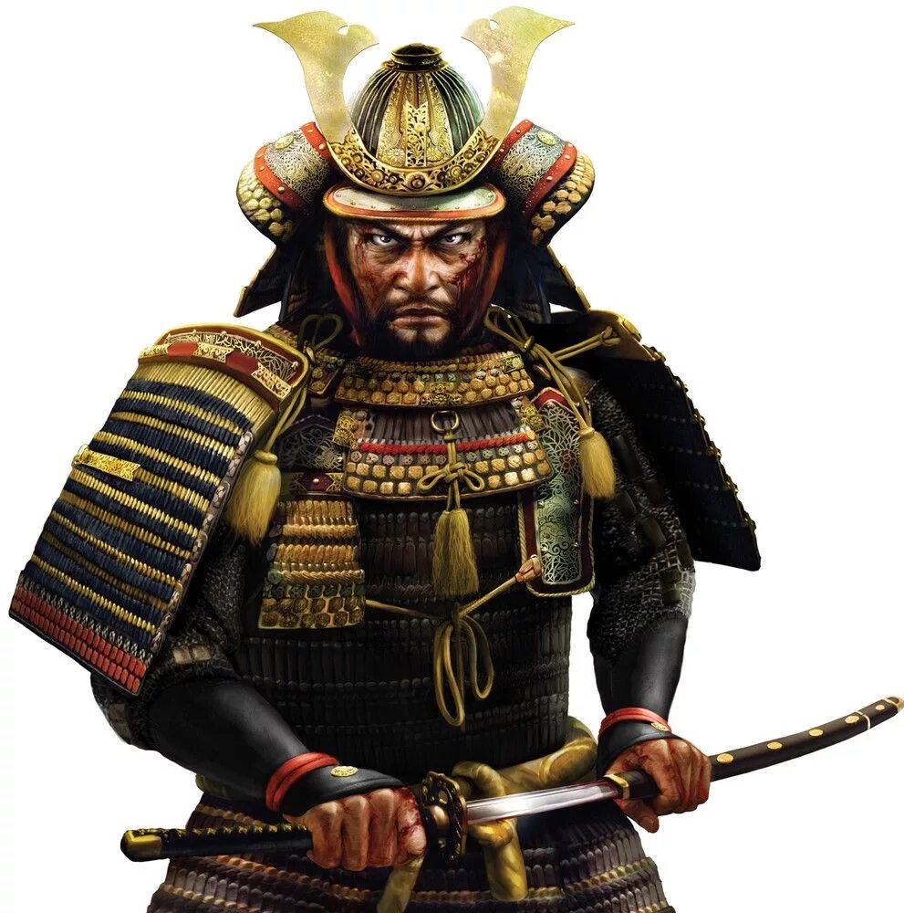 Что такое сегун. Япония Самураи сёгун. Самурай дайме Сегун. Японский военноначальник Самурай. Самурайский доспех Сегун.