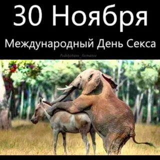 Половая жизнь в 30