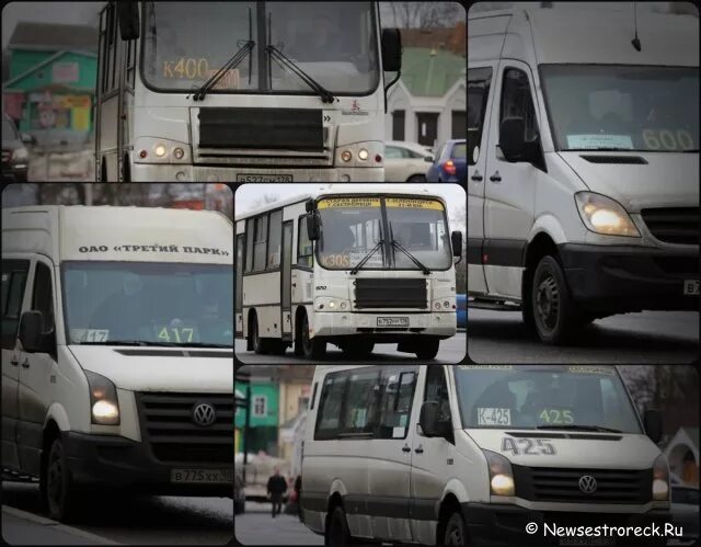 Автобусы до Сестрорецка. Маршрутка до Сестрорецка. Автобус метро Просвещение. Автобус Сестрорецк. Автобус электричка маршрутное такси