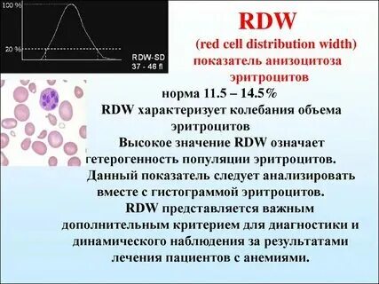Распределение эритроцитов понижен. Распределение эритроцитов понижен