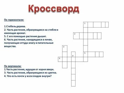 Кроссворд на тему систематика
