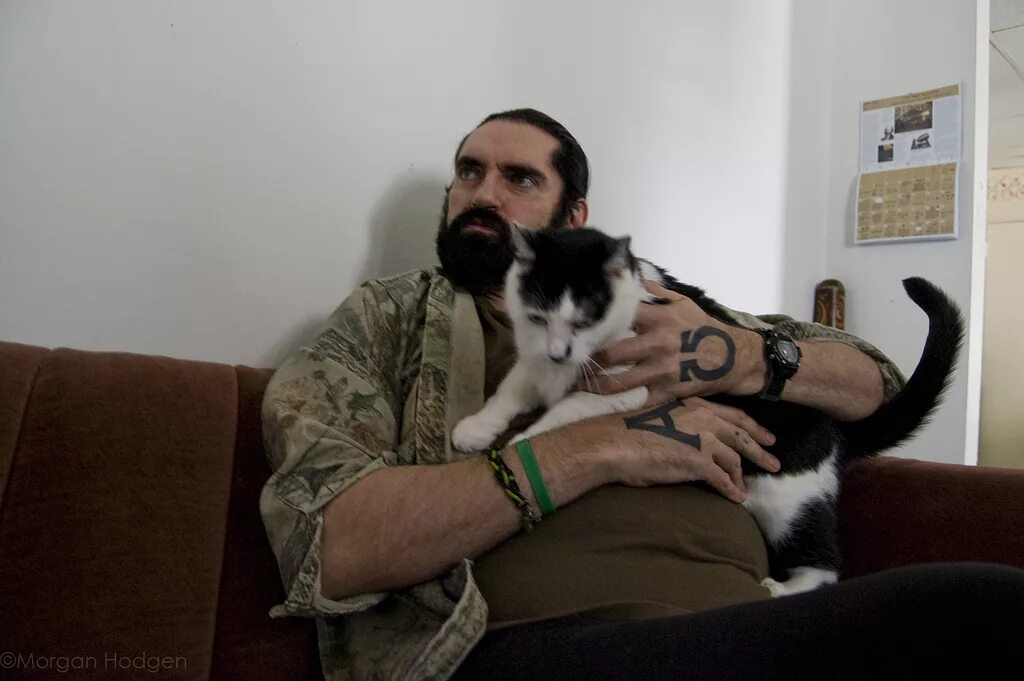 Питер стил плей герл 1995. Питер стил кот Тито. Питер стил с котом. Питер стил молодой с котом. Кошка певец