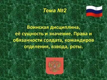 Виды дисциплины воинское