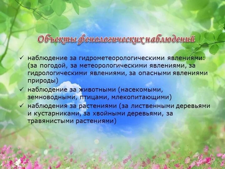 Привести пример наблюдения биология 5 класс. Дневник фенологических наблюдений. Фенологические наблюдения за растениями. Фенологические наблюдения школьниками. Фенологические явления.