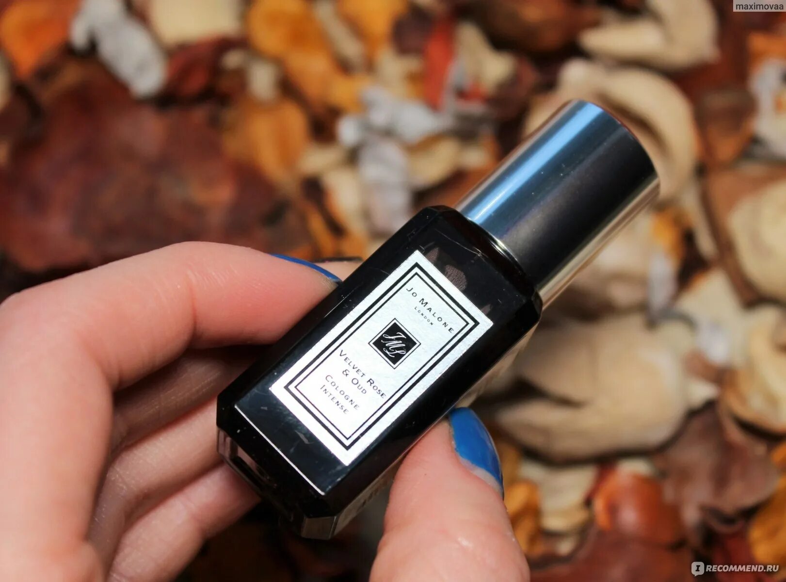 Jo malone velvet. Velvet rose &amp; oud jo malone london. jo malone velvet rose &amp; oud intense edc 50ml. jo malone velvet rose &amp; oud парфюм для волос. джо малон вельвет роз и уд.