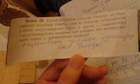 22 задач осталось