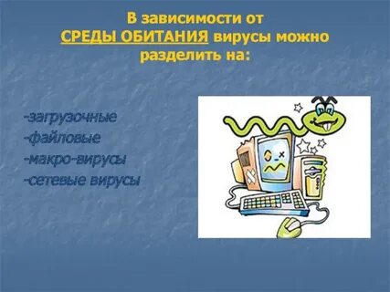 Среда обитания сетевых вирусов