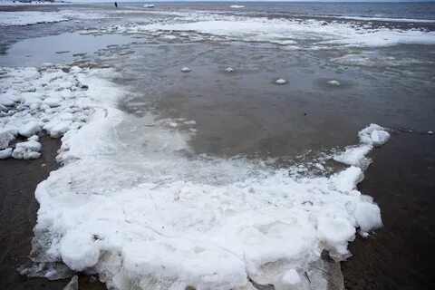 Состояние белого моря зимой