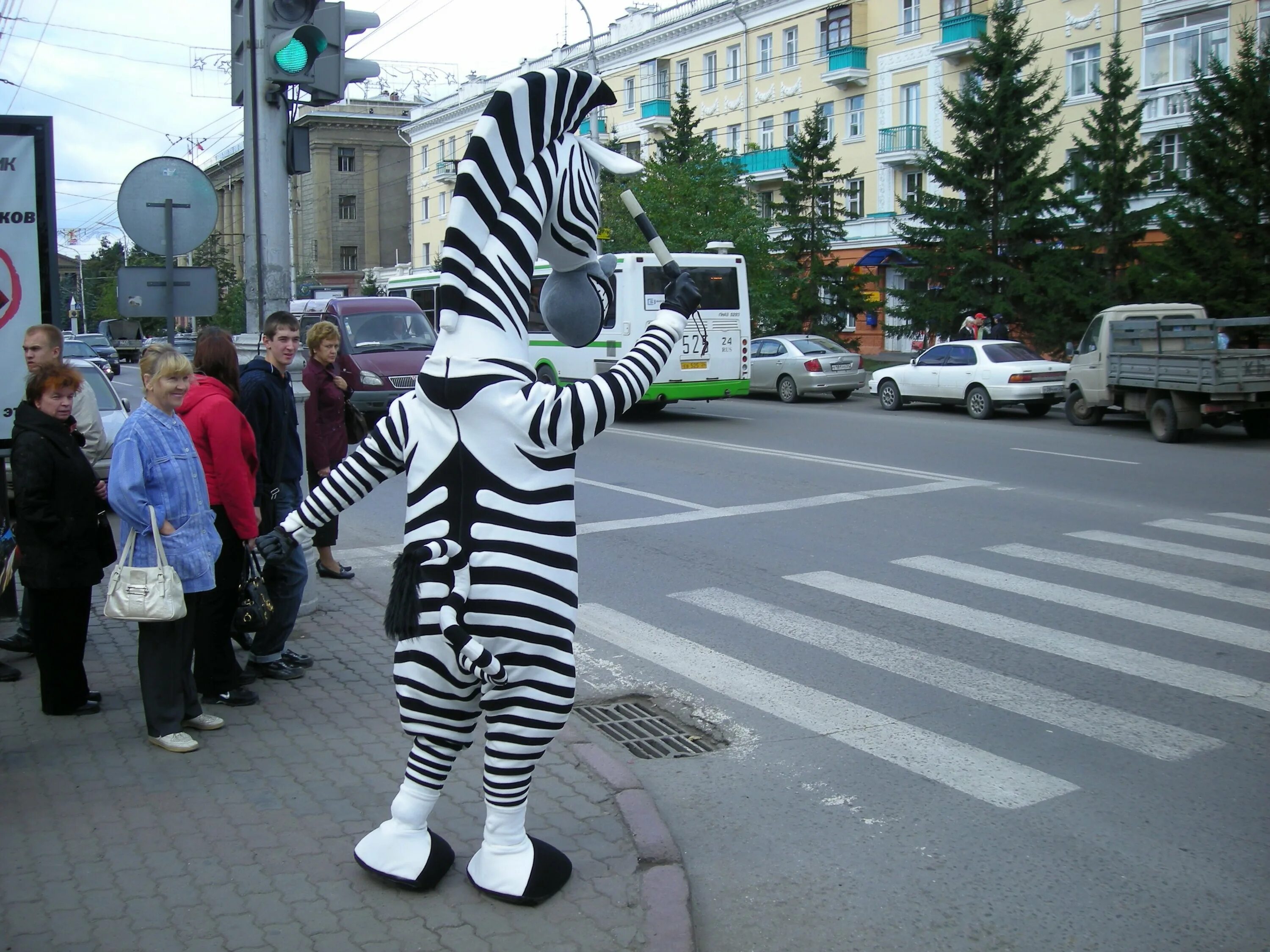 Zebra работа