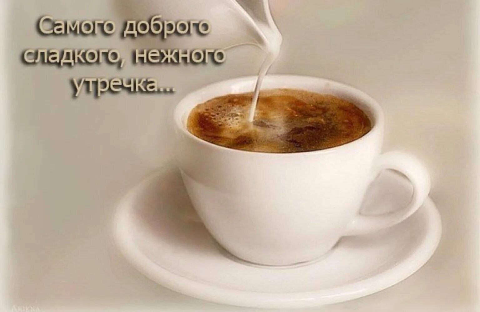 Pin by Наталия П on Доброе утро))) Cute good morning images, Good morning quotes