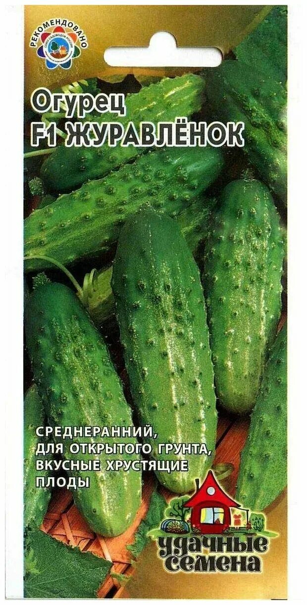 Огурец корнишон f1 журавлёнок. Сорт огурцов журавленок. Сорт огурцов журавленок. Огурцы мадрилене f1 картинки и описание. Огурец бастион f1 12 шт.