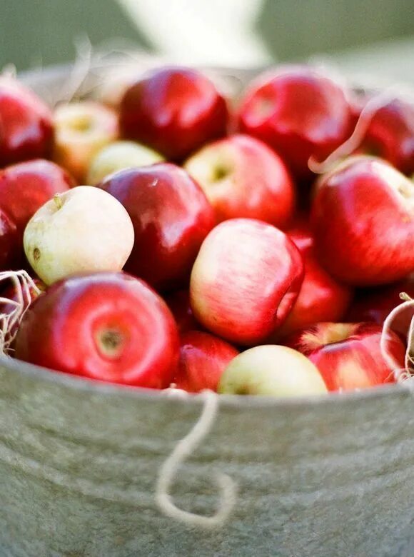 Бушель яблок. Вкусные розовые ароматные яблоки. Яблоки на столе фото. Вкусное яблоко. Ароматные сорта яблок