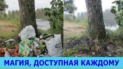 Жизнь доступная каждому