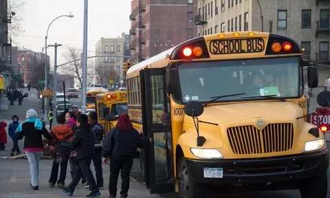 Kiss bus