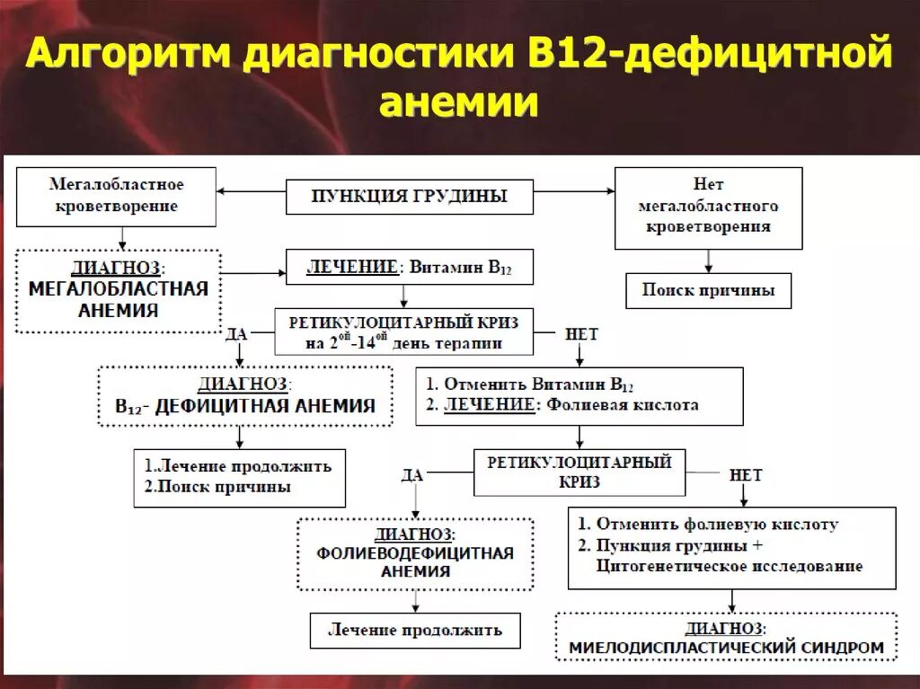 B12 дефицитная анемия диагностика. Диагностика б12 дефицитной анемии. Железодефицитная и в12 дефицитная анемия. Алгоритм диагностики анемии.