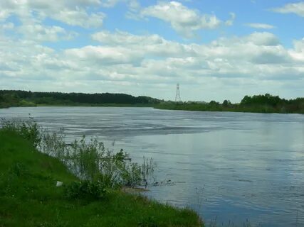 Погода в ветлуге нижегородской