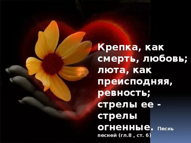 Песнь песней это конец. Крепка как смерть любовь. Любовь крепка как. Сильна как смерть любовь. Сильна как смерть любовь и стрелы её стрелы Огненные.