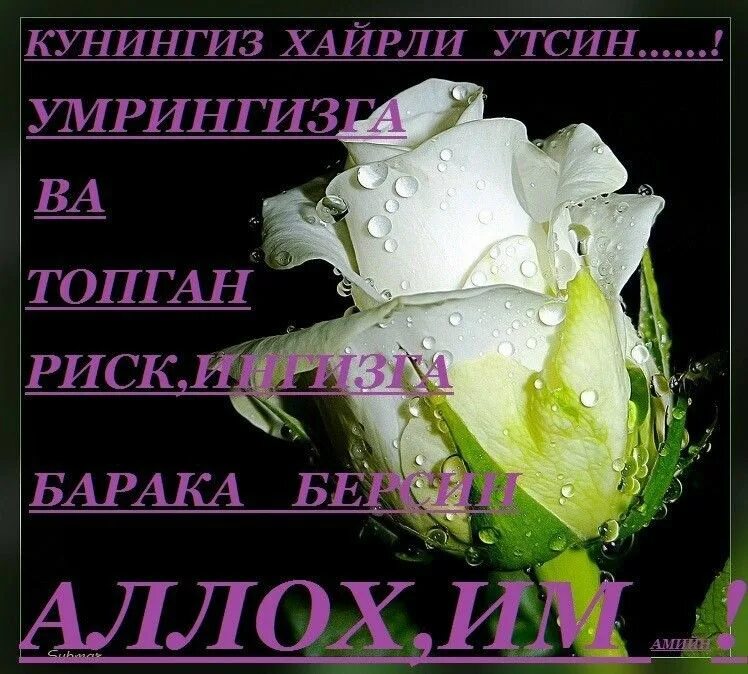 Кун ботиб осмонда ой тулган замон мп3
