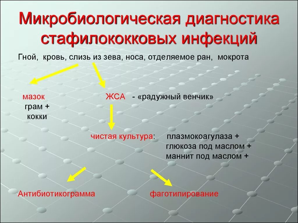 Микробиологический метод принцип. Серологический метод диагностики стафилококковой инфекции. схема микробиологического исследования стафилококков. лабораторная диагностика стафилококка микробиология. микробиологическая диагностика стафилококковых инфекций.