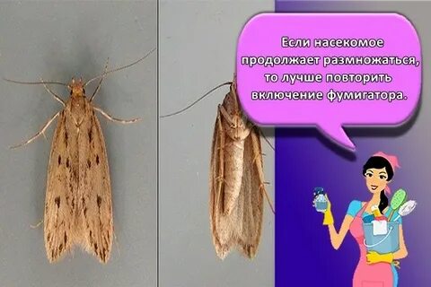 30 моль