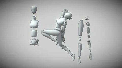 Ball Joint Doll Basemesh - Download Free 3D model by ChamberSu1996.