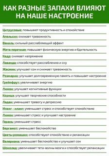 Запах как проверить
